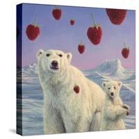 Polar Berries-W Johnson James-Stretched Canvas
