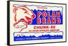 Polar Brand Chunk-Ee Ice Cream Chocolate Coated Bar-null-Framed Stretched Canvas