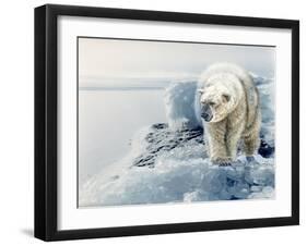 Polar Dawn-Gordon Semmens-Framed Giclee Print