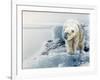 Polar Dawn-Gordon Semmens-Framed Giclee Print