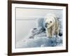 Polar Dawn-Gordon Semmens-Framed Giclee Print