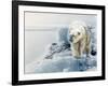 Polar Dawn-Gordon Semmens-Framed Giclee Print