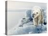 Polar Dawn-Gordon Semmens-Stretched Canvas