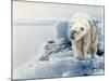 Polar Dawn-Gordon Semmens-Mounted Giclee Print