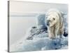 Polar Dawn-Gordon Semmens-Stretched Canvas