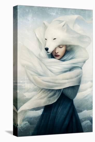 Polar Fox Spirit-Paula Belle Flores-Stretched Canvas
