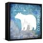 Polar Ice-LightBoxJournal-Framed Stretched Canvas