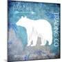 Polar Ice-LightBoxJournal-Mounted Giclee Print