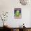 Polar Lettuce Label - Salinas, CA-Lantern Press-Stretched Canvas displayed on a wall