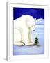 Polar Prayer-Will Bullas-Framed Giclee Print