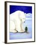 Polar Prayer-Will Bullas-Framed Giclee Print