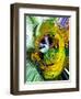 Polar Prism-Ruth Palmer 4-Framed Art Print