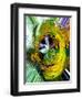 Polar Prism-Ruth Palmer 4-Framed Art Print