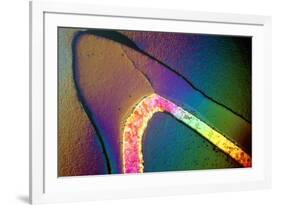 Polarised LM of a Cracked Ceramic Dental Crown-Volker Steger-Framed Photographic Print