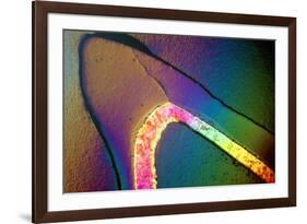 Polarised LM of a Cracked Ceramic Dental Crown-Volker Steger-Framed Photographic Print