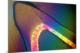 Polarised LM of a Cracked Ceramic Dental Crown-Volker Steger-Mounted Photographic Print