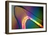 Polarised LM of a Cracked Ceramic Dental Crown-Volker Steger-Framed Photographic Print