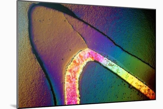 Polarised LM of a Cracked Ceramic Dental Crown-Volker Steger-Mounted Photographic Print