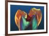 Polarised LM of a Molar Tooth Showing Decay-Volker Steger-Framed Photographic Print