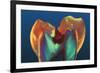 Polarised LM of a Molar Tooth Showing Decay-Volker Steger-Framed Photographic Print