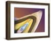 Polarised LM of a Tooth with a Dental Crown-Volker Steger-Framed Premium Photographic Print