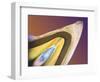 Polarised LM of a Tooth with a Dental Crown-Volker Steger-Framed Premium Photographic Print