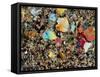 Polarised LM of Granite In Thin Section-null-Framed Stretched Canvas