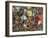 Polarised LM of Granite In Thin Section-null-Framed Photographic Print