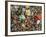 Polarised LM of Granite In Thin Section-null-Framed Photographic Print