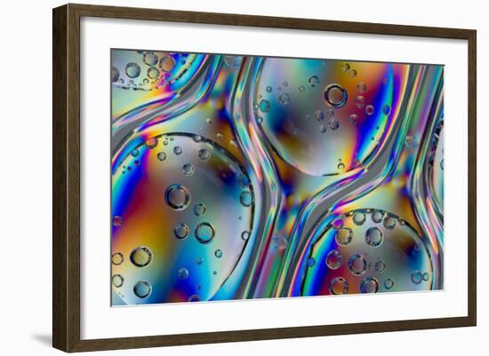 Polarized Stress Patterns in Row of Plastic Spoons with Carbonated Liquids from Above-Yon Marsh-Framed Photographic Print