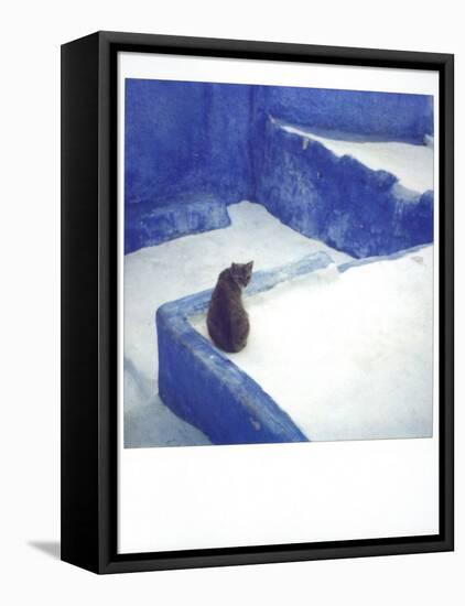 Polaroid of a Cat Sitting on Whitewashed Path, Chefchaouen, Morocco, North Africa, Africa-Lee Frost-Framed Stretched Canvas