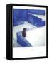 Polaroid of a Cat Sitting on Whitewashed Path, Chefchaouen, Morocco, North Africa, Africa-Lee Frost-Framed Stretched Canvas