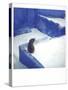 Polaroid of a Cat Sitting on Whitewashed Path, Chefchaouen, Morocco, North Africa, Africa-Lee Frost-Stretched Canvas