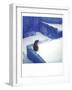 Polaroid of a Cat Sitting on Whitewashed Path, Chefchaouen, Morocco, North Africa, Africa-Lee Frost-Framed Photographic Print