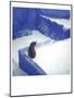 Polaroid of a Cat Sitting on Whitewashed Path, Chefchaouen, Morocco, North Africa, Africa-Lee Frost-Mounted Photographic Print