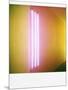 Polaroid of Colourful Stripes Created by Coloured Fluorescent Tubes-Lee Frost-Mounted Photographic Print