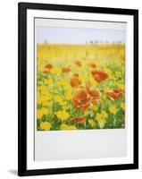 Polaroid of Field of Poppies and Yellow Wild Flowers, Near Fez, Morocco, North Africa, Africa-Lee Frost-Framed Photographic Print