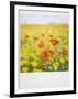 Polaroid of Field of Poppies and Yellow Wild Flowers, Near Fez, Morocco, North Africa, Africa-Lee Frost-Framed Photographic Print