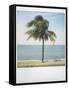 Polaroid of Single Palm Tree with Caribbean Sea in Background, Cienfuegos, Cuba, West Indies-Lee Frost-Framed Stretched Canvas