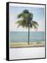 Polaroid of Single Palm Tree with Caribbean Sea in Background, Cienfuegos, Cuba, West Indies-Lee Frost-Framed Stretched Canvas