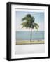 Polaroid of Single Palm Tree with Caribbean Sea in Background, Cienfuegos, Cuba, West Indies-Lee Frost-Framed Photographic Print