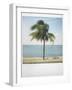 Polaroid of Single Palm Tree with Caribbean Sea in Background, Cienfuegos, Cuba, West Indies-Lee Frost-Framed Photographic Print