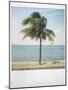 Polaroid of Single Palm Tree with Caribbean Sea in Background, Cienfuegos, Cuba, West Indies-Lee Frost-Mounted Photographic Print
