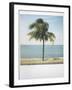 Polaroid of Single Palm Tree with Caribbean Sea in Background, Cienfuegos, Cuba, West Indies-Lee Frost-Framed Photographic Print