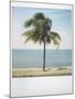 Polaroid of Single Palm Tree with Caribbean Sea in Background, Cienfuegos, Cuba, West Indies-Lee Frost-Mounted Photographic Print