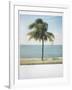 Polaroid of Single Palm Tree with Caribbean Sea in Background, Cienfuegos, Cuba, West Indies-Lee Frost-Framed Photographic Print