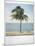 Polaroid of Single Palm Tree with Caribbean Sea in Background, Cienfuegos, Cuba, West Indies-Lee Frost-Mounted Photographic Print
