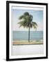 Polaroid of Single Palm Tree with Caribbean Sea in Background, Cienfuegos, Cuba, West Indies-Lee Frost-Framed Photographic Print