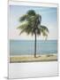 Polaroid of Single Palm Tree with Caribbean Sea in Background, Cienfuegos, Cuba, West Indies-Lee Frost-Mounted Photographic Print