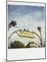 Polaroid of Two Pigeons Sitting on Sign Outside Paris Metro, Paris, France, Europe-Lee Frost-Mounted Photographic Print
